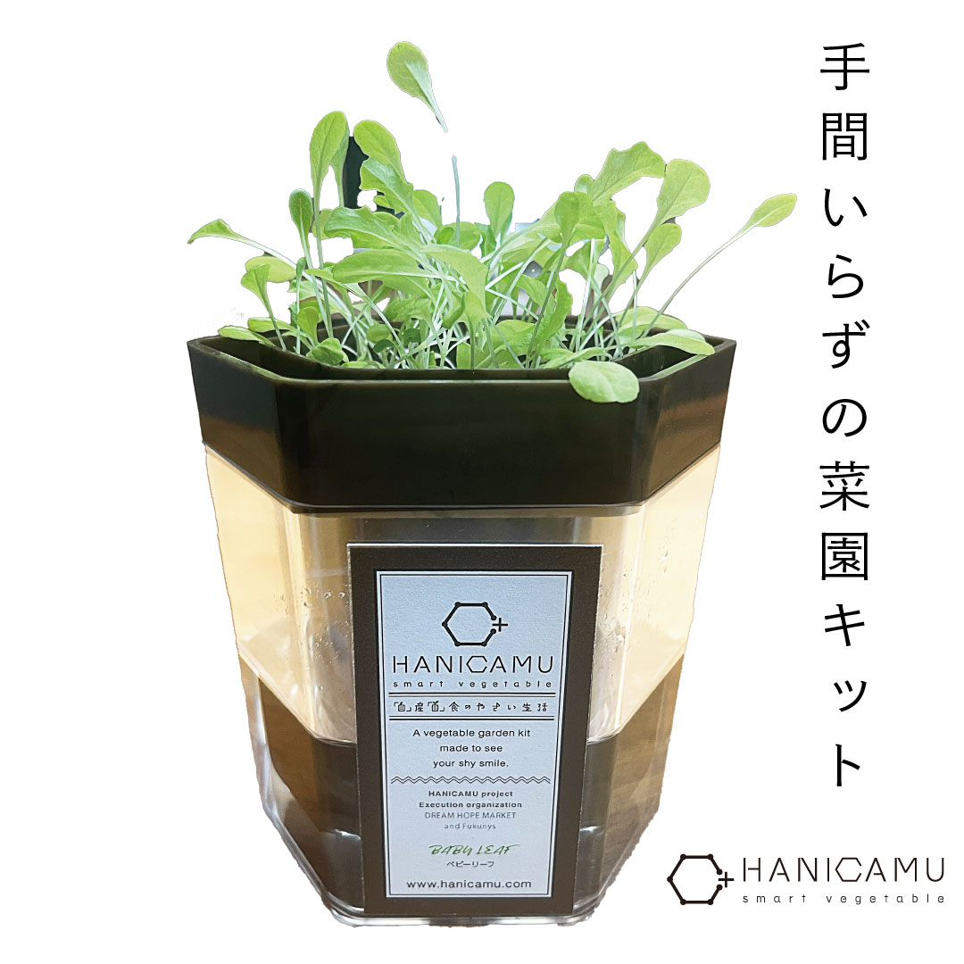 手間いらずの菜園キット