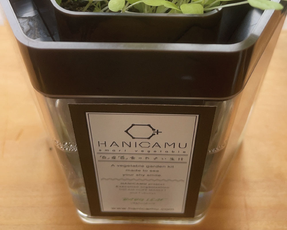 HANICAMUの広告ラベル